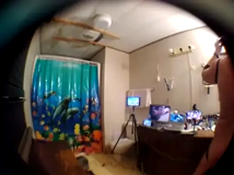 Snapshot of jockstrapstud chatting on 4, 12, 2024 jockstrapstud online show from 4, 12, 2024