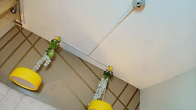 frreeya online show from 4, 3, 2026