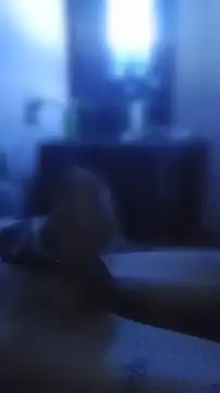 carloshot31 online show from 2, 4, 2026