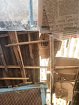 Skinny Bigass 23 online show from 17, 11, 2025