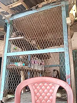 Skinny Bigass 23 online show from 3, 2, 2026