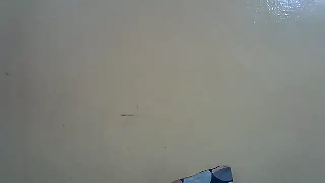 Harrisamor online show from 21, 10, 2025