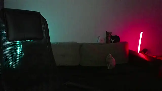 Ostin meow online show from 7, 4, 2026