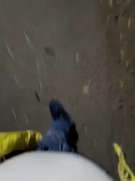 faaseel online show from 3, 11, 2025