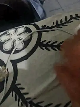 faaseel online show from 24, 3, 2026