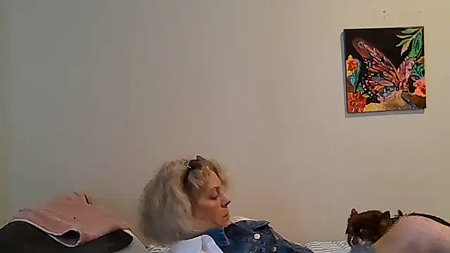 housewife shantie online show from 6, 5, 2026