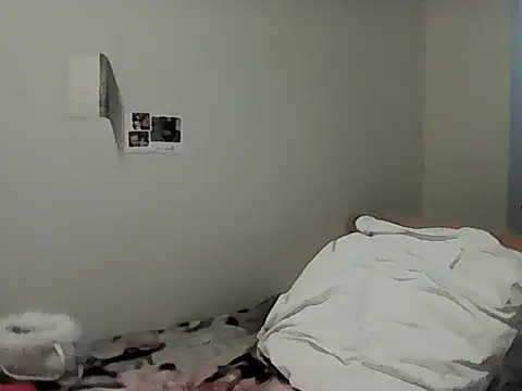 housewife shantie online show from 6, 3, 2026