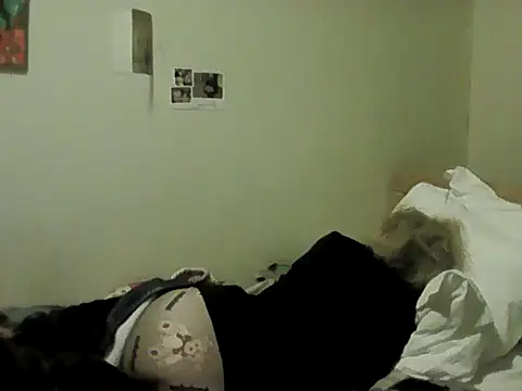 housewife shantie online show from 8, 2, 2026