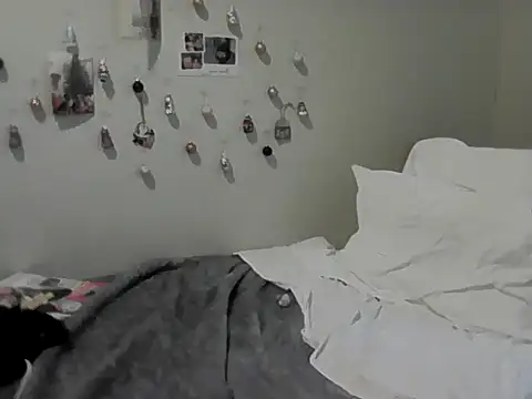 housewife shantie online show from 30, 11, 2025