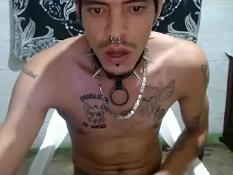 tayler punk noise online show from 27, 12, 2024