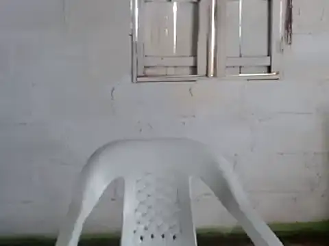 tayler punk noise online show from 31, 12, 2024