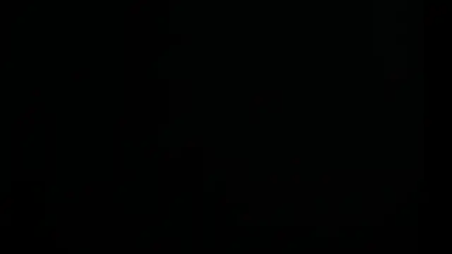 tayler punk noise online show from 8, 1, 2025