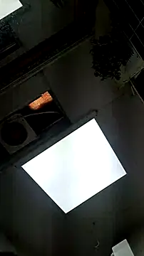 tula chyk online show from 11, 2, 2026