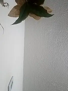 Naomy veracruz  online show from 12, 4, 2026