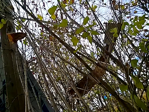 Fuckboy4public online show from 6, 11, 2025