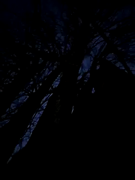 Fuckboy4public online show from 20, 11, 2025