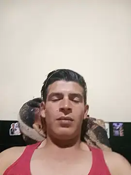 vergandez online show from 24, 7, 2026