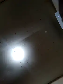 Innsaciable online show from 21, 3, 2026