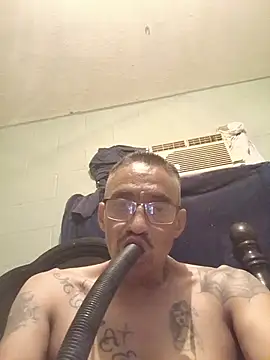 Innsaciable online show from 27, 6, 2026