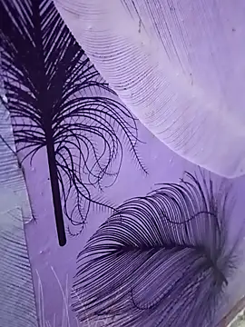 Snapshot of Scheme_SS chatting on 17, 1, 2026 Scheme SS online show from 17, 1, 2026