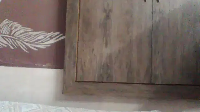 shalini fire online show from 2, 12, 2025