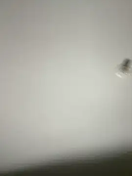 Morguisssz online show from 31, 10, 2025