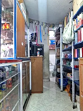 nidia2026 online show from 22, 12, 2025