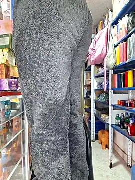 nidia2026 online show from 2, 12, 2025