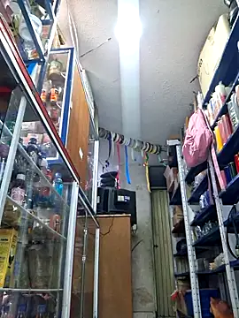 nidia2026 online show from 20, 11, 2025