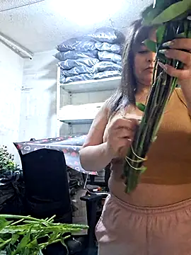 nidia2026 online show from 15, 5, 2026