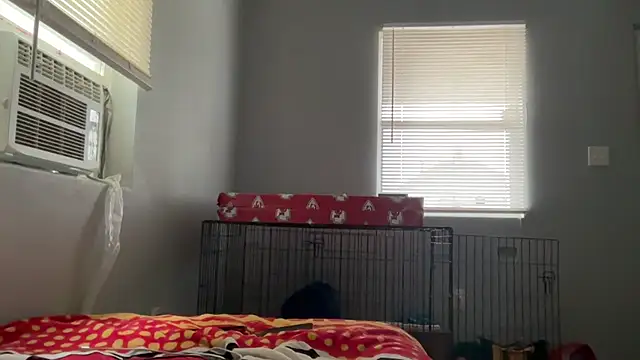 skarfosbabes69 online show from 23, 3, 2026