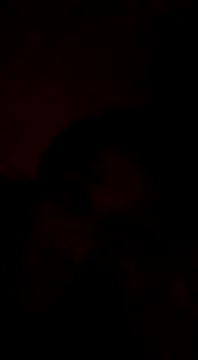 Bigote Big0357 online show from 12, 1, 2025