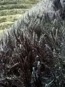 Emily aurora132 online show from 18, 3, 2025