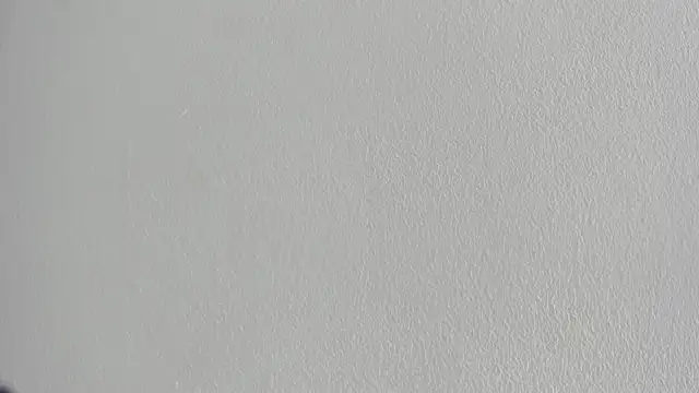 Snapshot of briannaduque chatting on 20, 9, 2025 briannaduque online show from 20, 9, 2025