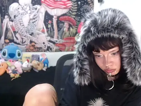 hachi kitty online show from 3, 4, 2026