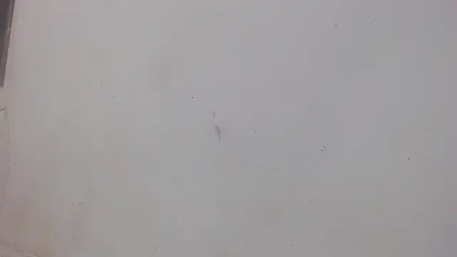 danilo302209 online show from 1, 2, 2025