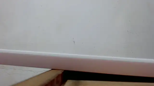 danilo302209 online show from 10, 3, 2025