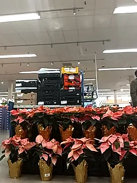 kobrashekyng online show from 14, 11, 2025