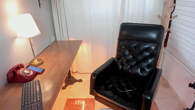 Pamela Johnsonn online show from 25, 2, 2026