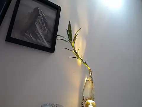 aria jhonsson online show from 10, 1, 2026