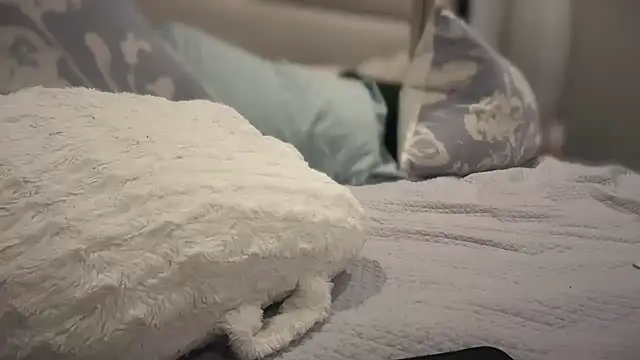 69woodinson online show from 7, 11, 2025