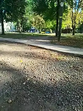 sanek1995sexx online show from 26, 9, 2025