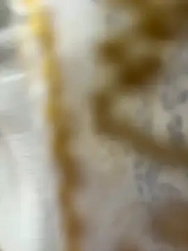 Snapshot of HoneyBearCpl chatting on 29, 10, 2025 HoneyBearCpl online show from 29, 10, 2025