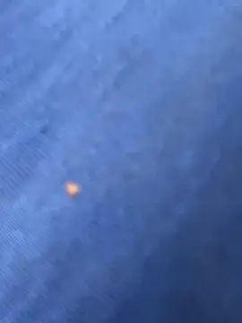 United3 online show from 9, 10, 2025