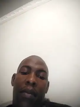 zuludog online show from 21, 4, 2026