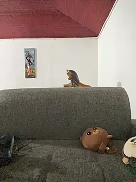 Snapshot of Junihn0 chatting on 26, 10, 2025 Junihn0 online show from 26, 10, 2025