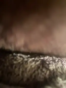 edgher646 online show from 15, 2, 2025