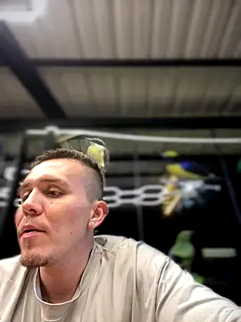 adam-rivera online show from 14, 11, 2025