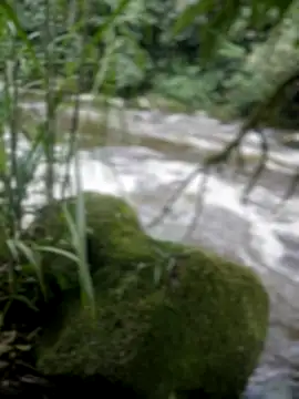 adam-rivera online show from 17, 11, 2025