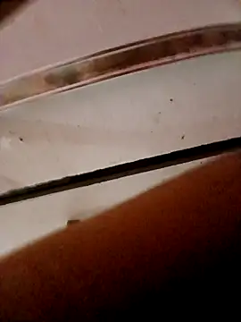 frotasso online show from 23, 10, 2025